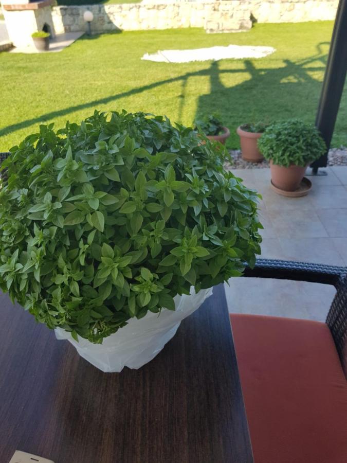 Kriopigi Paradise Kültér fotó